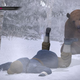 Fighting a bear in Yakuza 5